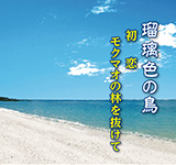 「瑠璃色の鳥」 はまだゆかり