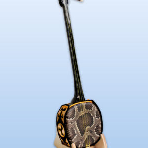 SS-07