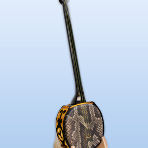 SS-09