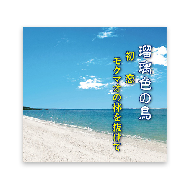 瑠璃色の鳥　 はまだゆかり　浜崎浩人作品集　